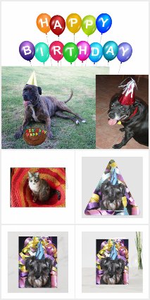 kingdom_of_animals_birthday_with_dogs_119265813627943265-r_zruem_cx4vs_425.jpg