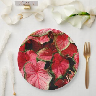 PAPER PLATES/FLORAL/RED,PINK,GREEN CALADIUM/PHOTOG