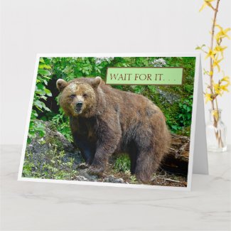 BEAR/. BEAR HUGS COMING YOUR WAY