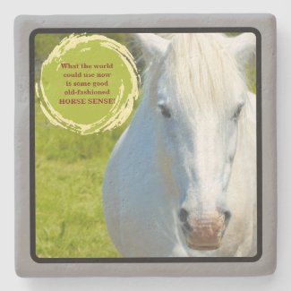 White Horse Staring Into Camera/Horse Sense