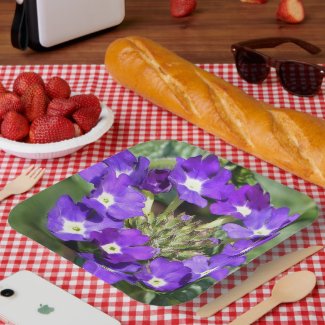 Circle Of Purple Flowers With White Centers