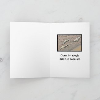 Crocodiles/ Friendship & Support With Humor