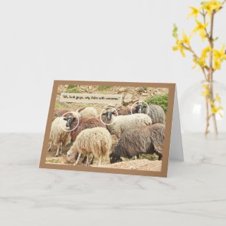 Sheep/