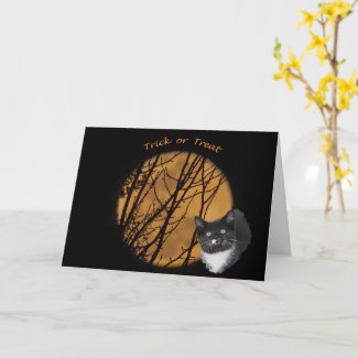 Trick or treat Halloween black cat & moon