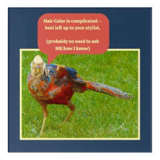 HAIR COLOR GONE BAD (STRANGE MULTI-COLORED BIRD)