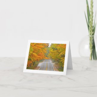LIME-GREEN AND TANGERINE COLORED TREES