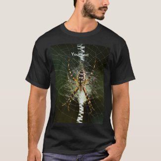 Personalize Spider on its web photography