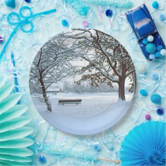 paper plates, SNOW-COVERED PARK/LONE BENCH/