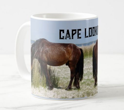 cape lookout three quarter view.jpg cape lookout three quarter view.jpg